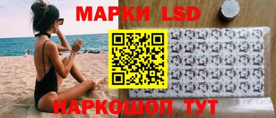 шишки Гатчина