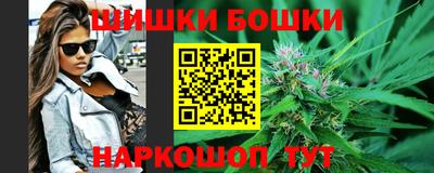 шишки Гатчина