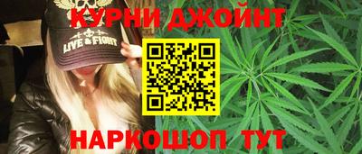 шишки Гатчина