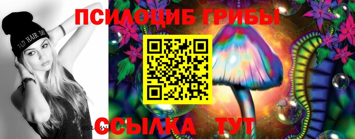 Галлюциногенные грибы GOLDEN TEACHER Орск